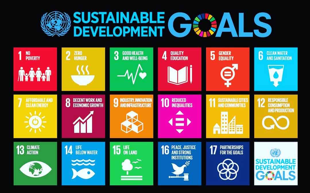 Sustainable Development Goals Grid
